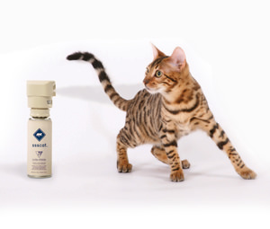 What are the best natural cat repellents?