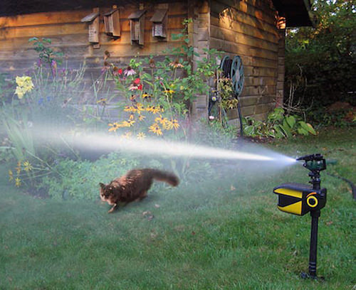 Anti cat spray outlet for garden