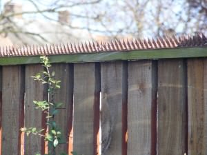 fence spikes
