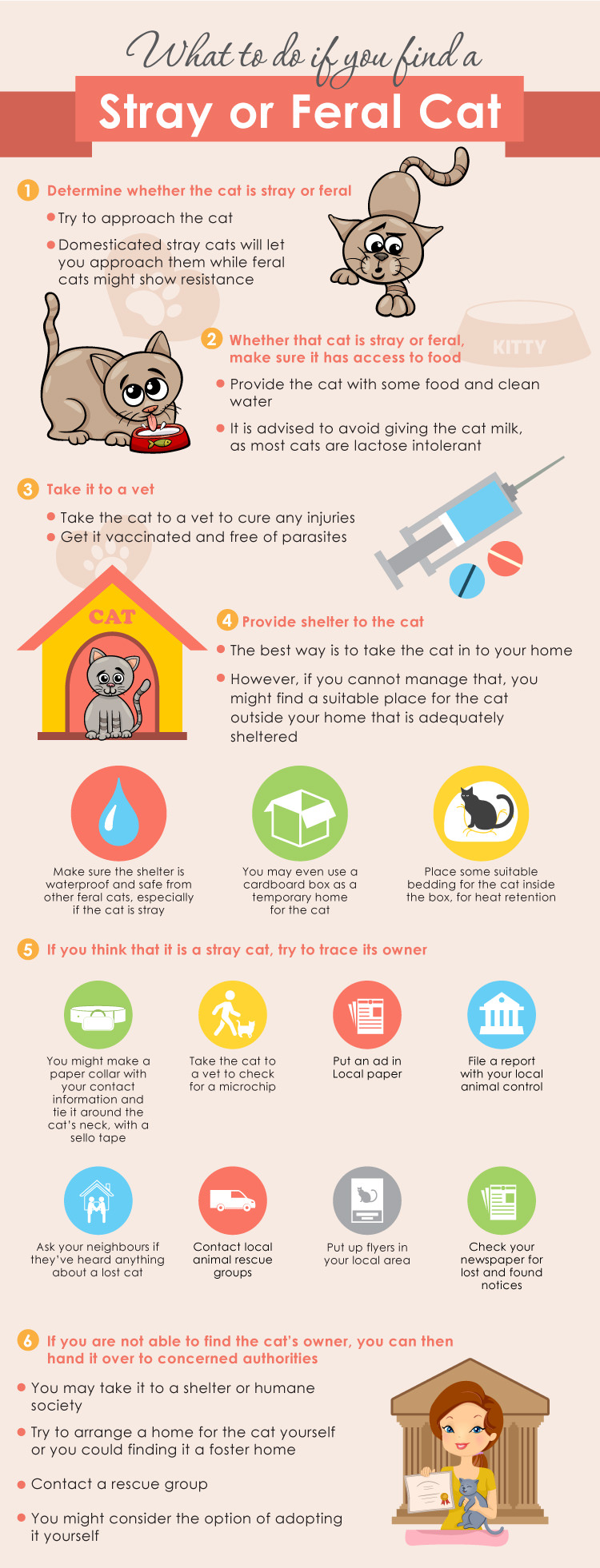 What To Do If You Find A Stray Or Feral Cat The Scaredy Cat